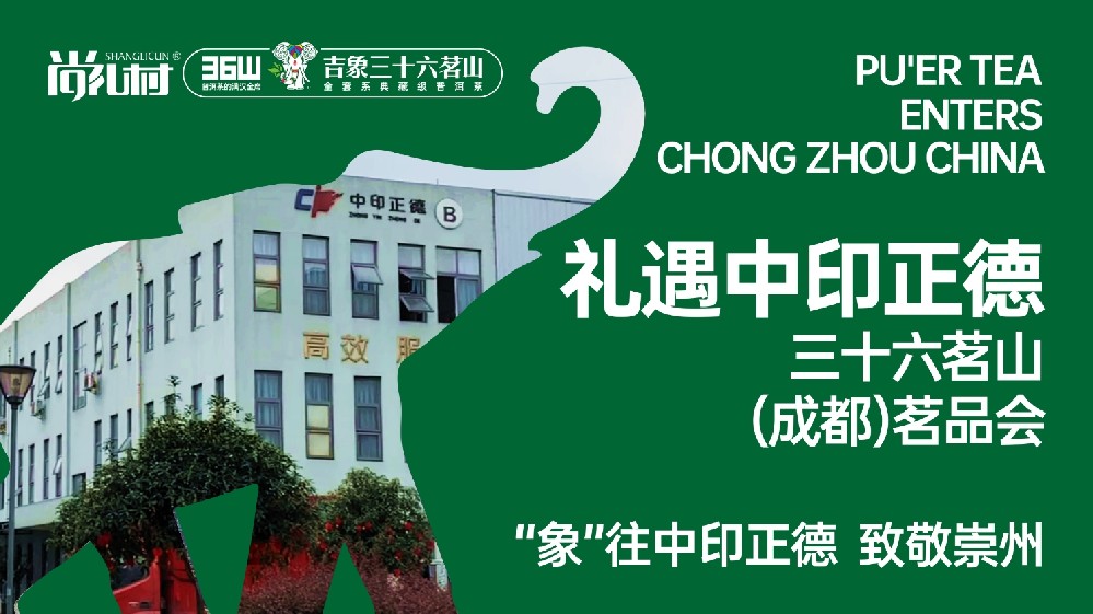 一壶茶，一城故事 | 至尊三···